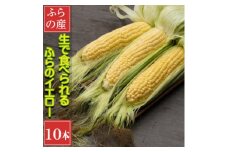 「生」で食べられる!北海道富良野産　トウモロコシ　ふらのイエロー　10本入り【1561818】