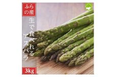 2026年先行予約　生で食べられる北海道富良野産 アスパラ3kg (S～Lサイズ混合)【1561886】