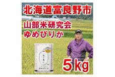 ＜毎月定期便＞北海道富良野市産ゆめぴりか 精米 5kg全6回【4056501】