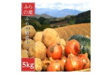 2025年先行受付　北海道富良野産　野菜セット5kg詰め(4～5種類)【1565493】
