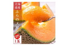 ＜訳あり＞厳選糖度15度前後 北海道富良野産メロン 1.6kg×1玉【1570118】
