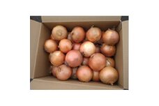 富良野おかの農園産タマネギ 10kg【1576219】