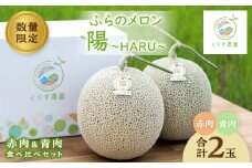 ふらのメロン「陽 ～HARU～」赤肉&青肉 食べ比べセット(各1玉合計4kg以上)【1576581】