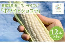 北海道富良野産白いとうもろこし「ホワイトショコラ」12本(約5kg)【1576599】