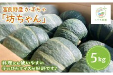 ＜2025年発送＞北海道富良野産かぼちゃ「坊ちゃん」5kg ※手のひらサイズが好評です!【1576617】