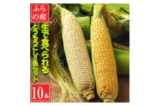 生で食べれる トウモロコシ2種類セット(ホワイト5本・イエロー5本)合計10本【1598521】