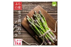 ハウス栽培　生で食べられるアスパラ Lサイズ 1kg(約50本)【1607749】