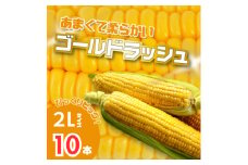 北海道富良野産　イエローとうもろこし　ゴールドラッシュ2Lサイズ10本　産地直送【1609338】