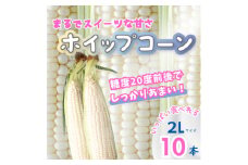 北海道富良野産　朝採りホワイトとうもろこし　ホイップコーン2Lサイズ10本　産地直送【1609603】