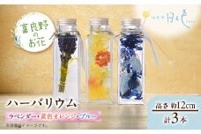 ＜ギフト＞富良野のお花 ハーバリウム 3本セット(ラベンダー、黄色オレンジ、ブルー)【1551589】