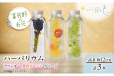 ＜ギフト＞富良野のお花 ハーバリウム 3本セット(ラベンダー、黄色オレンジ、グリーン)【1552140】