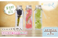 ＜ギフト＞富良野のお花 ハーバリウム 3本セット(ラベンダー、赤ピンク・グリーン)【1552142】