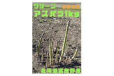 ＜2026年発送＞北海道　富良野産　グリーンアスパラ　無選別　約1kg【1611749】