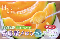 ＜人気上昇中＞富良野メロン(赤肉) 秀品2玉 計5kg～_メロン 富良野 北海道 ふらのメロン 赤肉 2玉 フルーツ 果物 くだもの 人気 おすすめ 送料無料 贈答 ギフト【1614059】