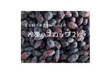 冷凍ハスカップ　2kg_ ハスカップ 果物 フルーツ ベリー くだもの 冷凍 新鮮 農家直送 北海道 富良野 人気 おすすめ 送料無料 【1617009】