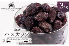 冷凍ハスカップ　3kg_ ハスカップ 果物 フルーツ ベリー くだもの 冷凍 新鮮 農家直送 北海道 富良野 人気 おすすめ 送料無料 【1617014】
