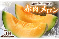 富良野市山部地区産 赤肉メロン 5個(1個1.6kg以上)【1620057】