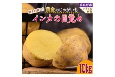 ＜2025年先行予約＞黄金のジャガイモ　インカの目覚め 10kg 北海道 富良野産【1624719】