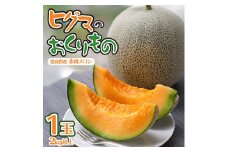 ＜発送月固定定期便＞ヒグマのおくりもの 赤肉メロン(1玉)・ホワイトショコラ(2L×10本)全2回_メロン とうもろこし コーン 定期便 赤肉 フルーツ くだもの 果物 人気 おすすめ 送料無料 北海道 富良野【4068413】