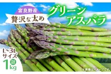＜先行受付＞＜2026年発送＞富良野産アスパラ1kg贅沢な太め(L～3L)サイズ_アスパラ アスパラガス 野菜 やさい 北海道 富良野 人気 おすすめ 送料無料 贈答 ギフト 1kg【1632459】