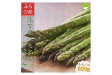 「生」で食べられる!北海道富良野産　グリーンアスパラ　800g (S～Lサイズ混合)_グリーンアスパラ 野菜 アスパラ 北海道 富良野 産直 産地直送 人気 おすすめ 送料無料 贈答 ギフト プレゼント【1633262】