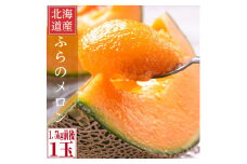 糖度15度前後 富良野メロン 2Lサイズ (1.5kg前後) 1玉入_メロン フルーツ 果物 くだもの 富良野 北海道 人気 おすすめ 送料無料 贈答 ギフト 濃厚 高糖度 1玉【1635250】