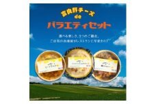 富良野チーズdeバラエティセット(ミートドリア・ミートソース☆スパゲティ・焼きカレー 各1個)【1637624】
