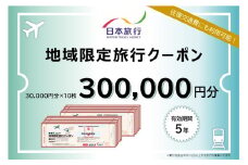 北海道登別市 地域限定旅行クーポン 300,000円分 | 日本旅行 トラベルクーポン 納税チケット 旅行 宿泊券 ホテル 観光 旅行 旅行券 交通費 体験 宿泊 夏休み 冬休み 家族旅行 ひとり旅 カップル 夫婦 親子 登別市旅行