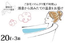 自宅で温泉入浴　登別カルルス温泉 20L×3箱