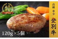 登別牛100％使用ハンバーグ 120g×5個