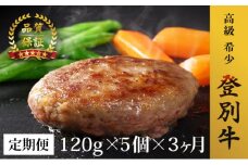 肉のあさひ 登別牛100％使用ハンバーグ 120g×5個[全3回お届け]