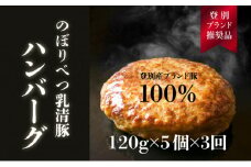 肉のあさひ 大人気！【のぼりべつ乳清豚（ホエー）】ハンバーグ120g×5個[全3回お届け]