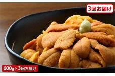【定期便】訳あり 無添加エ ゾバフンウニ 塩水パック 600g［2025年1月下旬～3回お届け］| うに 高級 ウニ 雲丹 生ウニ エゾバフンウニ 塩水パック 人気 送料無料 北海道 登別