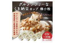 【6ヶ月連続お届け】グルテンフリーなくま納豆 極小粒 40g×30個【納豆カップ・グルテンフリー醤油・たれ付き】