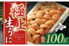 極上 エゾバフンウニ 折詰 100g　配送期間C：1月下旬～3月下旬迄 | うに 高級 ウニ 雲丹 生ウニ エゾバフンウニ折詰 北海道 登別 人気 送料無料