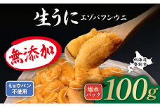 無添加 極上 エゾバフンウニ 塩水パック 100g 配送期間B：10月下旬～11月下旬迄 高級 うに ウニ 雲丹 生うに バフンウニ 塩水 パック詰め ふるさと納税 北海道 登別市
