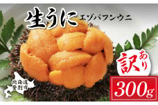 訳あり 規格外品 無添加 エゾバフンウニ 塩水パック 300g　配送期間C：1月下旬～3月下旬迄 | うに 高級 ウニ 雲丹 生ウニ エゾバフンウニ 塩水パック 北海道 登別 ふるさと人気 ランキング 送料無料