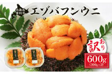 訳あり 規格外品 無添加 エゾバフンウニ 塩水パック 600g　配送期間C：1月下旬～3月下旬迄 | うに 高級 ウニ 雲丹 生ウニ エゾバフンウニ 塩水パック 北海道 登別 人気 送料無料