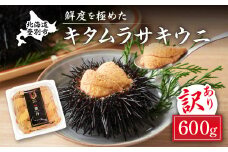 規格外品 キタムラサキウニ600g 100gパック × 6個 うに 高級 ウニ 雲丹 生ウニ 塩水 人気 ふるさと納税 北海道 登別市 ※2025年6月下旬～順次発送