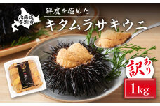 規格外品 キタムラサキウニ1kg 100gパック × 10個 うに 高級 ウニ 雲丹 生ウニ 塩水 人気 ふるさと納税 北海道 登別市 ※2025年6月下旬～順次発送