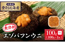 先行予約 北海道 登別近海産 無添加 極上エゾバフンウニ 塩水パック 100g ※2025年6月よりお届け | 魚貝類 ウニ 雲丹 無添加 うに 極上エゾバフンウニ 塩水パック うに 高級 ウニ 雲丹 生ウニ 塩水 人気 ふるさと納税 北海道 登別市