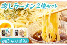 冷し麺（ ラーメン ）12食セット ※季節限定配送