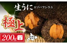 【4月-5月発送】極上 エゾバフンウニ 200g（パック詰）配送期間D：4月上旬～5月下旬迄 | ふるさと納税 うに 高級 ウニ 雲丹 生ウニ エゾバフンウニ パックうに 北海道 登別 ふるさと 人気 ランキング 送料無料