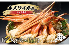 【順次出荷】殻付き 本ずわいがに 肩脚 2kg | ギフト 2025