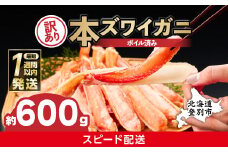 【最短1週間以内出荷】訳あり 冷凍 ボイル ずわいがに 足 600g ズワイガニ ハーフポーション | ギフト 2025