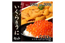 【年内発送】冷凍 エゾバフンウニ折詰 200gといくら醤油漬け 500gセット