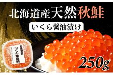 北海道産 天然秋鮭 いくら醤油漬け 250g（250g×1） いくら イクラ ikura 筋子 秋鮭 鮭いくら 鮭卵 冷凍 2025 ふるさと納税 北海道 登別市