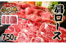 登別産国産牛ブランド【登別牧場ゆの牛(うし)】 肩ロース 750g