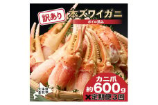 訳あり 冷凍 ボイル ずわいがに 爪 600g ズワイガニ【定期便 3回お届け】 | ギフト 2025