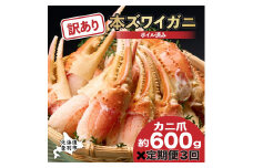 訳あり 冷凍 ボイル ずわいがに 爪 600g ズワイガニ【定期便 3回お届け】 | ギフト 2025